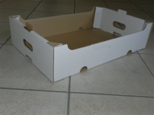 BAC - PLATEAU DE TRANSPORT